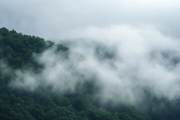 Fototapeta premium Misty mountain landscape with a soft, white blanket of clouds.