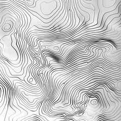 Fototapeta premium Abstract Linear Pattern with Topographic Resemblance