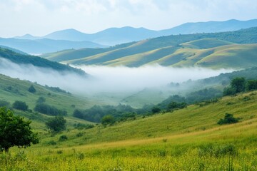 Fototapeta premium Rolling green hills with mist in the valley.