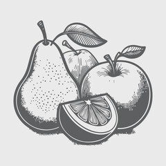 hand drawn illustration of apple