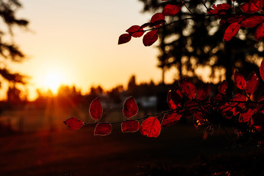 Beautiful sunset in the fall