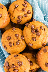 Pumpkin muffin with melty chocolate chips, showcasing texture.