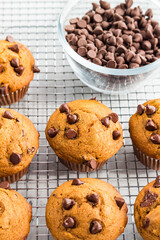 muffins cooling on a rack beside a bowl of chocolate chips