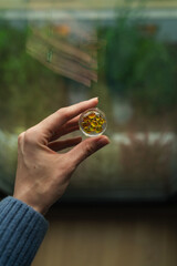 Woman's hand holding transparent pill holder with yellow capsules