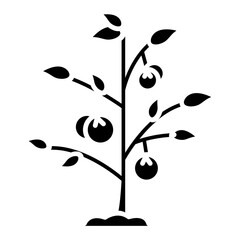 Illustration of Tomato Plant Glyph Icon