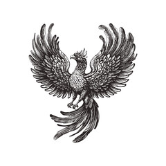 Fototapeta premium Vector phoenix engraving black and white. Flying phoenix bird with beautiful wings. Vector illustration of a phoenix in style of woodcut engraved