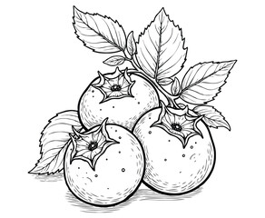 Blueberry Fruit Coloring Page for kids