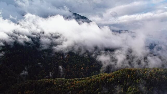 Vue drone d'une montagne couverte de for&ecirc;t, s'&eacute;levant progressivement jusqu'&agrave; se perdre dans les nuages, cr&eacute;ant un paysage mystique et envelopp&eacute; de brume.