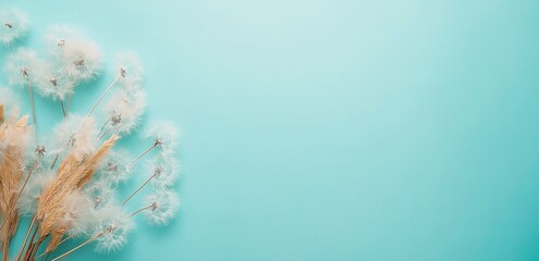 Dandelion with seeds blowing away in the wind across a clear blue sky with copy space