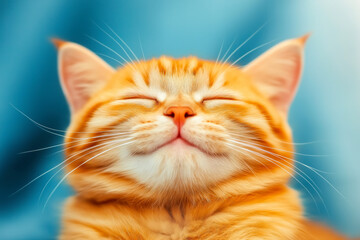 Naklejka premium A cheerful orange tabby cat enjoying a moment of happiness with its eyes closed, featured against a soft blue backdrop