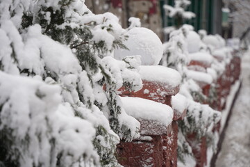 Branches under a large layer of snow in the city square.