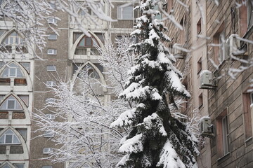 Branches under a large layer of snow in the city square.