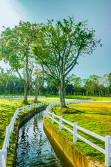 Chiang Mai Series : Landscape of beautiful public park