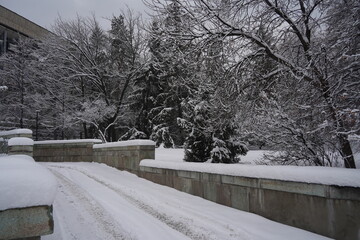 Branches under a large layer of snow in the city square.