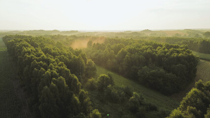 Fototapeta premium Aerial view of foggy countryside with trees and fields