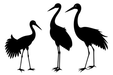 Fototapeta premium Stork bird silhouettes set.