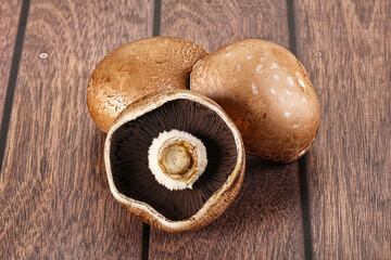 Raw brown champignon for cooking