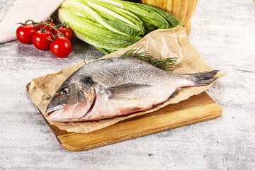 Raw dorada fish served rosemary