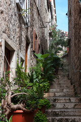 A steep stepped lane enhanced by lots of pot plants, Hvar, Croatia