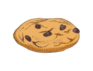 Chocolate Chip Cookie hand drawn vector