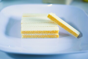 selective focus on cheese wafer on a white plate