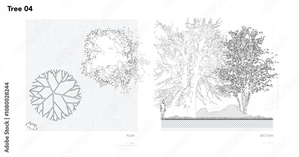 Poster architectural drawings, minimal style cad tree line drawing, side view, set of section wetland fores