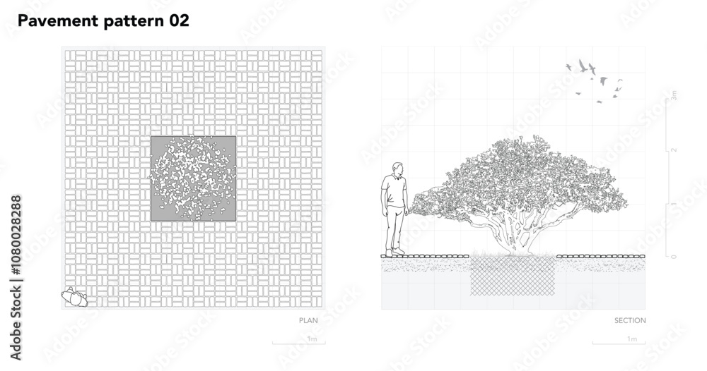 Poster architectural drawings, minimal style cad tree line drawing, side view, set of section wetland fores