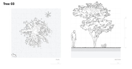 Obraz premium Architectural Drawings, Minimal style cad tree line drawing, Side view, set of section wetland forest outline for landscape design drawing. Vector illustration in seperate element