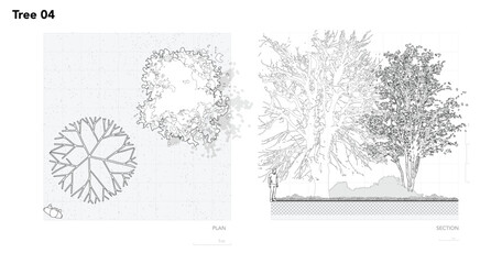 Architectural Drawings, Minimal style cad tree line drawing, Side view, set of section wetland forest outline for landscape design drawing. Vector illustration in seperate element