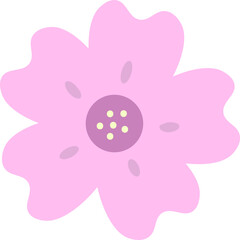 flower type sakura, Prunus