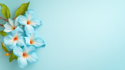 Discover the beauty of blue flowers against a soft background