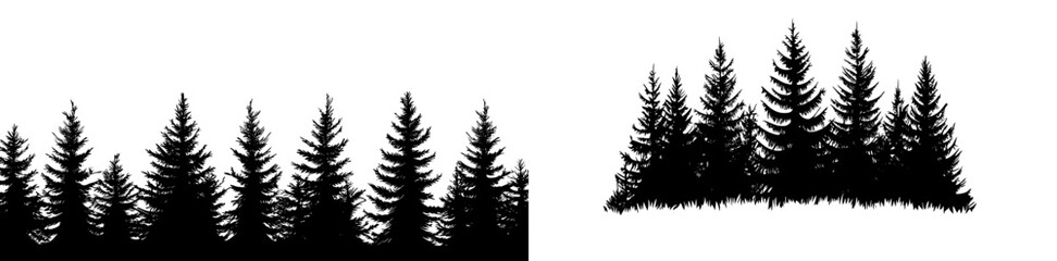 Obraz premium Isolated modern illustration of fir trees surrounded by forests