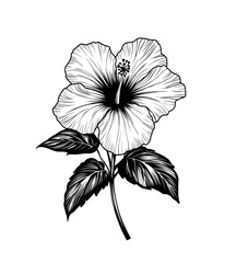 Fototapeta premium The Polynesian illustration shows a Hawaiian silhouette, a Hawaiian logo, a tribal mask, a hibiscus totem, a traditional beach shape lei, and a palm leaf on a modern graphic background