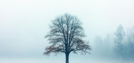 Lone tree in foggy landscape with grazing animals, serene and tranquil scene.