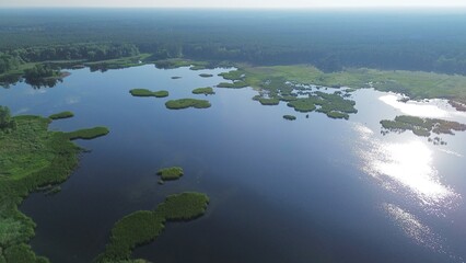Aerial View of Blue Lake with Lush Green Reeds