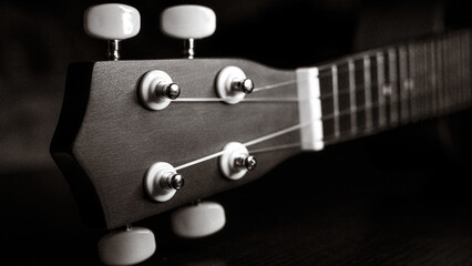 Ukulele headstock and fretboard close up. black and white photo.