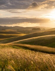 Fototapeta premium Rolling Hills and Golden Fields Stretching Across the Horizon, Bathed in the Warm Light of a Golden Sunset With Soft Clouds and a Gentle Breeze Blowing Through the Grass