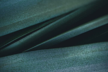 Dark green leaf texture, Natural green leaves using as nature background wallpaper or tropical leaf cover page