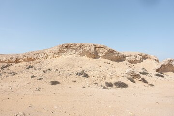 Mangrove Forest in Qatar, desert  area near to the Mangroves at Purple Island, Al Khor, Qatar