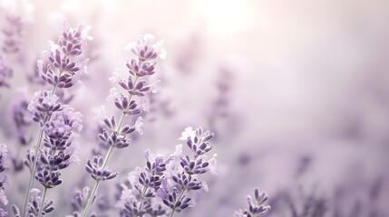 Naklejka premium Background of soft pastel blue with gentle watercolor effect