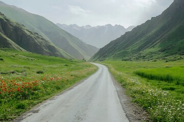 Naklejka premium Winding Gravel Road Through Scenic Mountain Valley with Wildflowers