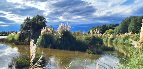 Nature of the natural park in Bibione - Naturalistic Oasis Val Grande. © Tanya