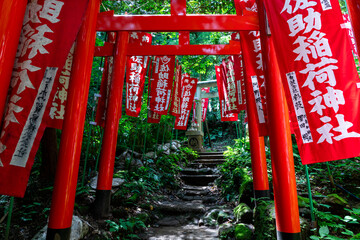 佐助稲荷神社の鳥居