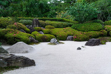 鎌倉 明月院の枯山水