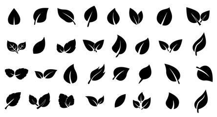 black hand drawn leaves set silhouettes icons