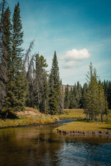 Mountain panorama of beautiful valley in Altai mountains. Altai Mountain range, North Altai, Gorny...