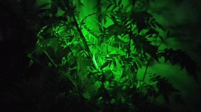 Beautiful green light decorated on plants  during diwali festival