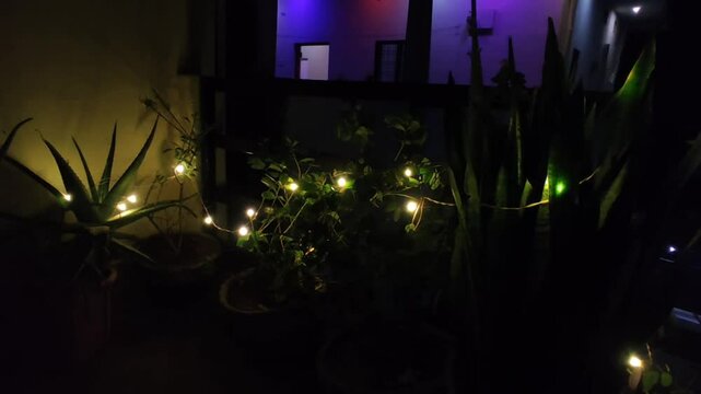 Beautiful green light decorated on plants  during diwali festival