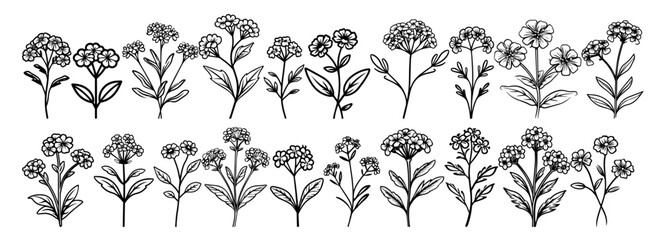 floral line art set showcasing simple and natural beauty – black vector