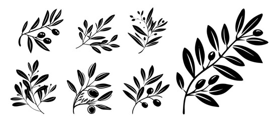 elegant olive branches with leaves and olives in sketch style